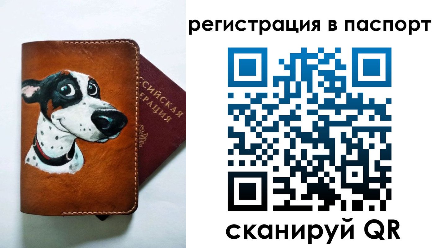 прописка штамп в Похвистнево